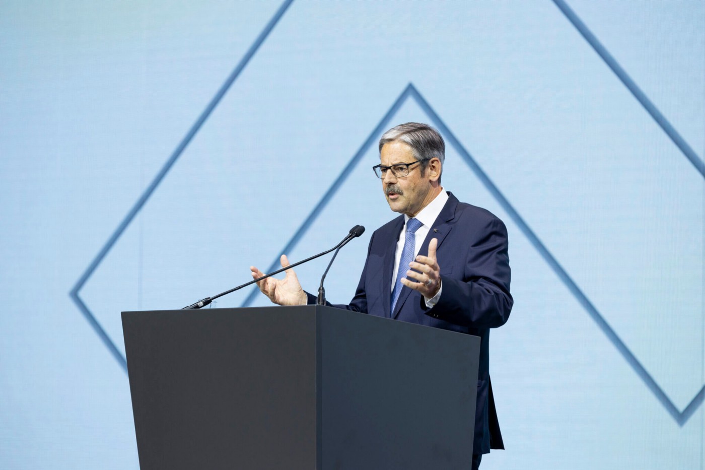 Mag. Erwin Hameseder spricht bei der Jahrestagung