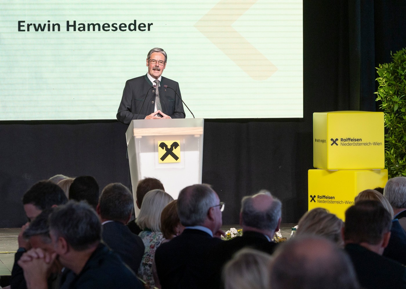 Obmann Erwin Hameseder