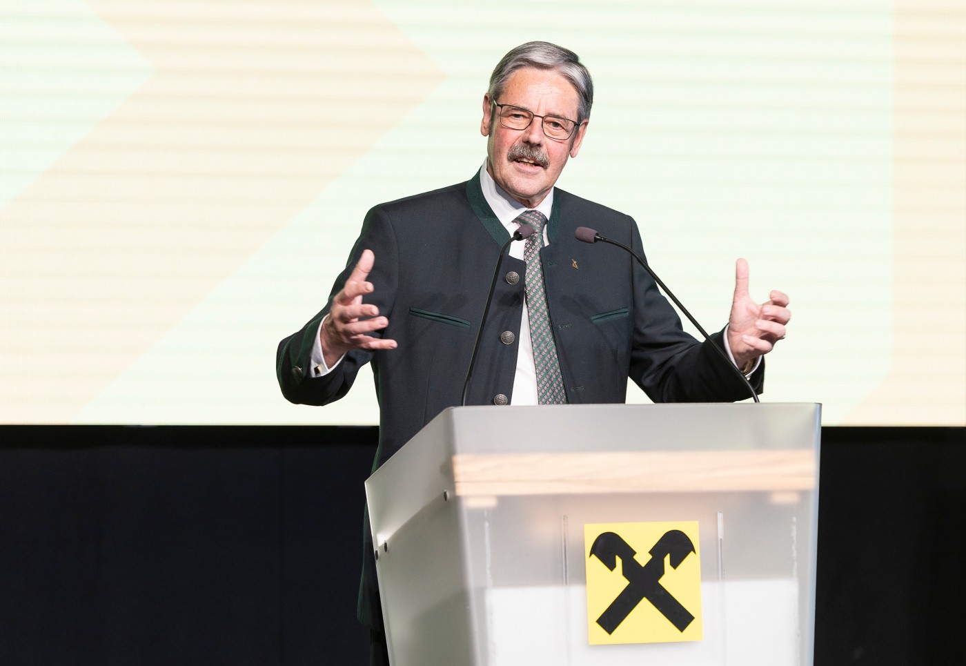 Obmann Erwin Hameseder 